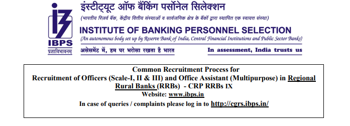 IBPS RRB Multipurpose & Officer Scale